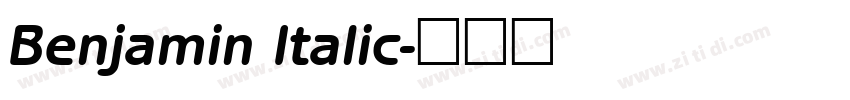 Benjamin Italic字体转换